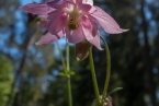 Bild00012