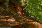 Bild00046