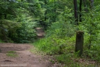 Bild00052