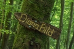 Bild00054