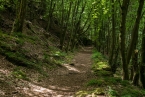 Bild00055