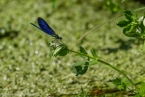 Bild00057