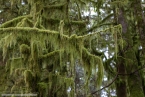 Bild00054