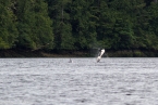 Bild00069