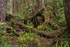 Bild00083