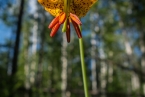 Bild00221