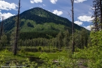 Bild00228