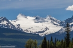 Bild00229