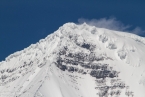 Bild00237