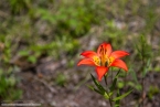 Bild00253