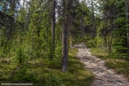 Bild00310