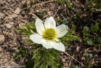 Bild00328