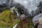 Bild00410