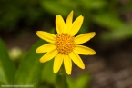 Bild00416