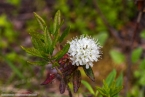 Bild00417