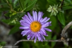 Bild00419