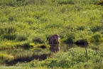 Bild00464
