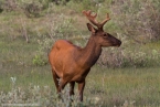 Bild00466