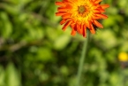 Bild00556