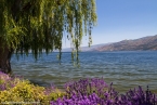 Bild00557