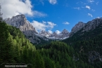 Bild00042