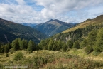 Bild00102