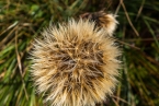 Bild00105