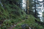Bild00127
