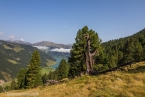 Bild00131