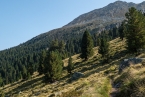 Bild00133