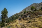 Bild00136