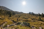 Bild00138