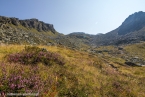 Bild00141