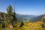 Bild00151