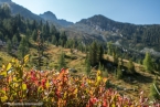Bild00153
