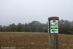 Bild00002