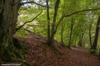 Bild00004
