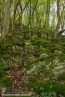 Bild00005