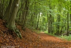 Bild00006