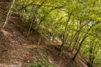 Bild00014