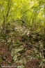 Bild00016