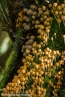 Bild00018