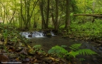 Bild00022
