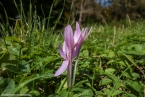 Bild00026