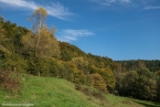 Bild00028