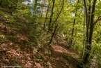 Bild00029