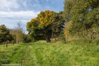 Bild00031