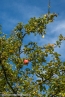Bild00033