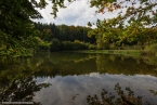 Bild00036