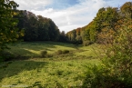 Bild00037